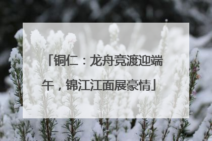 铜仁：龙舟竞渡迎端午，锦江江面展豪情