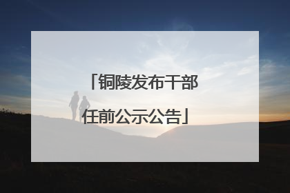 铜陵发布干部任前公示公告