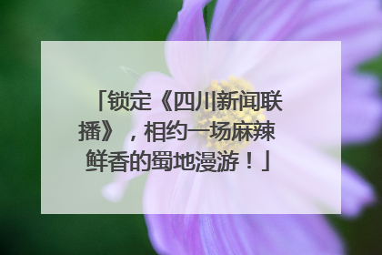 锁定《四川新闻联播》，相约一场麻辣鲜香的蜀地漫游！