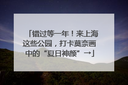 错过等一年！来上海这些公园，打卡莫奈画中的“夏日神颜”→