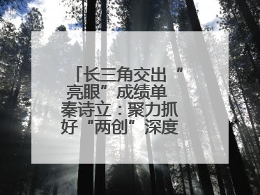 长三角交出“亮眼”成绩单 秦诗立：聚力抓好“两创”深度融合这个棋眼