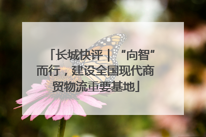 长城快评｜“向智”而行，建设全国现代商贸物流重要基地