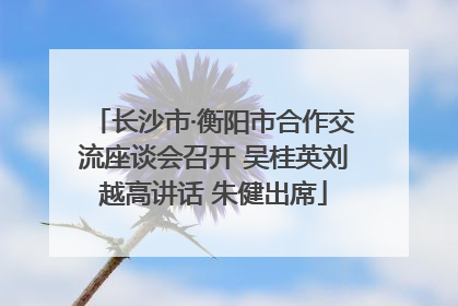 长沙市·衡阳市合作交流座谈会召开 吴桂英刘越高讲话 朱健出席
