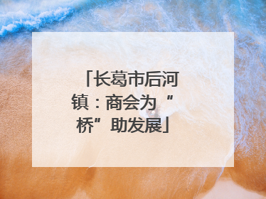 长葛市后河镇：商会为“桥”助发展