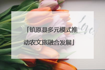 镇原县多元模式推动农文旅融合发展