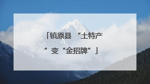 镇原县 “土特产”变“金招牌”