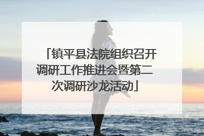 镇平县法院组织召开调研工作推进会暨第二次调研沙龙活动
