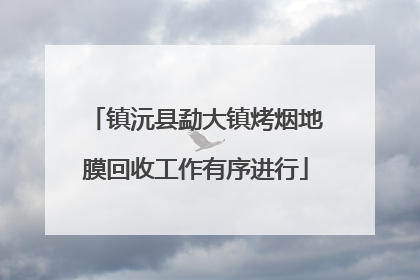镇沅县勐大镇烤烟地膜回收工作有序进行