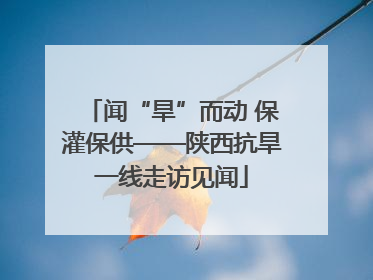 闻“旱”而动 保灌保供——陕西抗旱一线走访见闻
