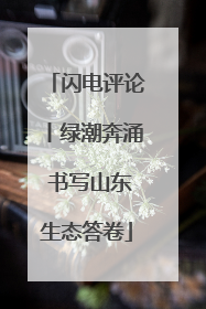 闪电评论丨绿潮奔涌 书写山东生态答卷