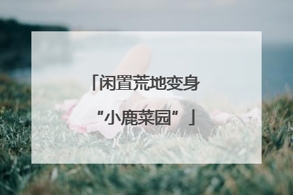 闲置荒地变身“小鹿菜园”