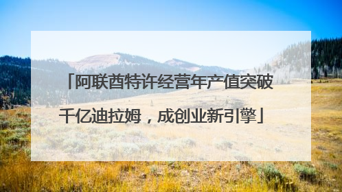 阿联酋特许经营年产值突破千亿迪拉姆，成创业新引擎