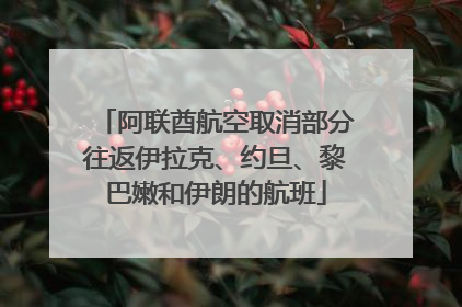阿联酋航空取消部分往返伊拉克、约旦、黎巴嫩和伊朗的航班