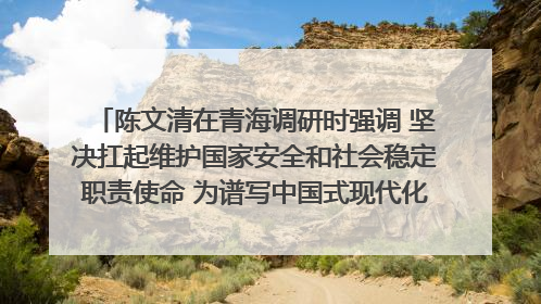陈文清在青海调研时强调 坚决扛起维护国家安全和社会稳定职责使命 为谱写中国式现代化青海篇章贡献政法力量