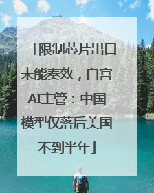 限制芯片出口未能奏效，白宫AI主管：中国模型仅落后美国不到半年