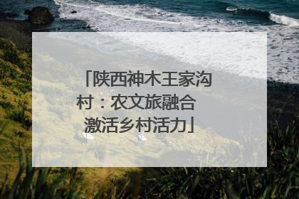 陕西神木王家沟村：农文旅融合 激活乡村活力
