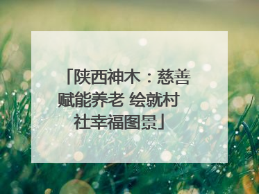 陕西神木：慈善赋能养老 绘就村社幸福图景