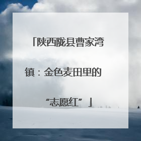 陕西陇县曹家湾镇：金色麦田里的“志愿红”