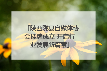陕西陇县自媒体协会挂牌成立 开启行业发展新篇章