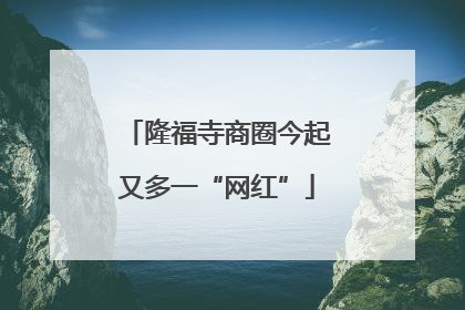 隆福寺商圈今起又多一“网红”