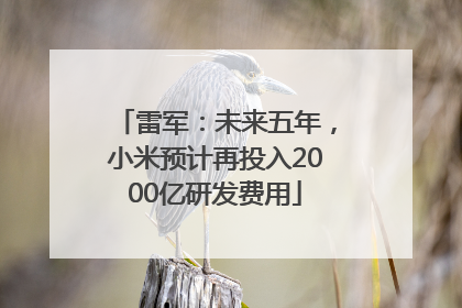 雷军：未来五年，小米预计再投入2000亿研发费用