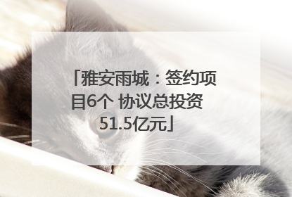 雅安雨城：签约项目6个 协议总投资51.5亿元