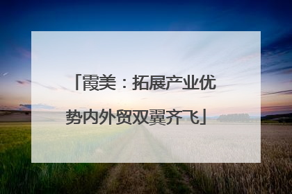 霞美：拓展产业优势内外贸双翼齐飞