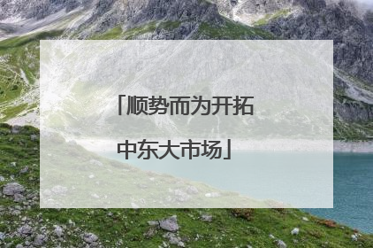 顺势而为开拓中东大市场
