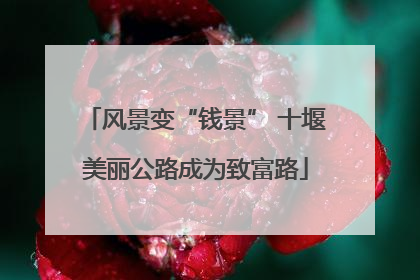 风景变“钱景” 十堰美丽公路成为致富路