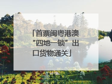 首票闽粤港澳“四地一锁”出口货物通关
