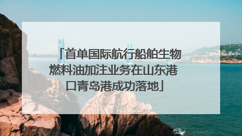 首单国际航行船舶生物燃料油加注业务在山东港口青岛港成功落地