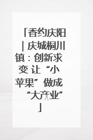 香约庆阳｜庆城桐川镇：创新求变 让“小苹果”做成“大产业”
