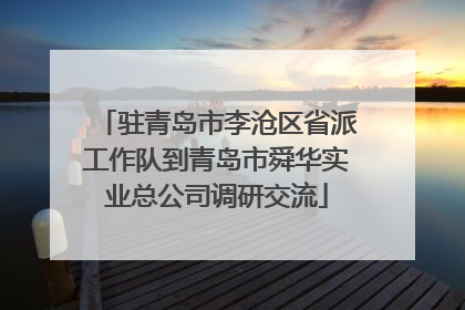 驻青岛市李沧区省派工作队到青岛市舜华实业总公司调研交流