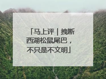 马上评｜拽断西湖松鼠尾巴，不只是不文明