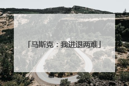 马斯克：我进退两难