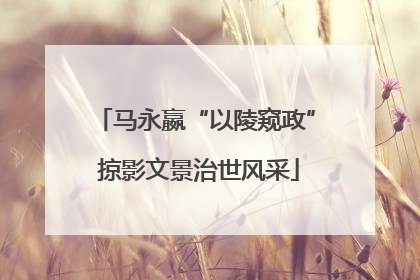 马永嬴“以陵窥政” 掠影文景治世风采