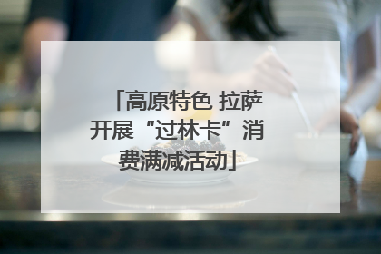 高原特色 拉萨开展“过林卡”消费满减活动