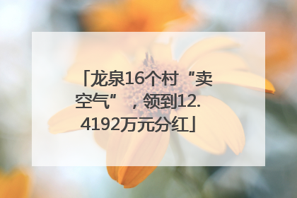 龙泉16个村“卖空气”，领到12.4192万元分红