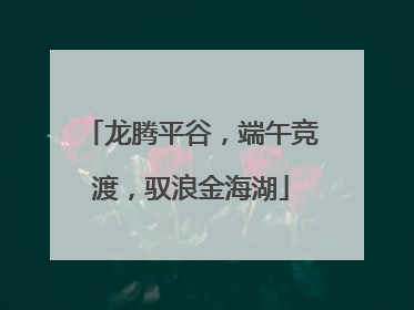 龙腾平谷，端午竞渡，驭浪金海湖