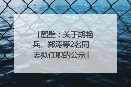 鹤壁：关于胡艳兵、郑涛等2名同志拟任职的公示