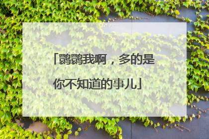 鹮鹮我啊，多的是你不知道的事儿