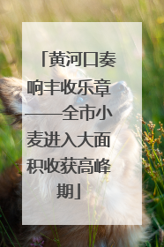 黄河口奏响丰收乐章——全市小麦进入大面积收获高峰期