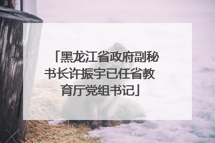 黑龙江省政府副秘书长许振宇已任省教育厅党组书记