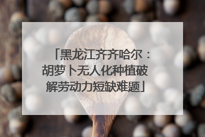 黑龙江齐齐哈尔：胡萝卜无人化种植破解劳动力短缺难题