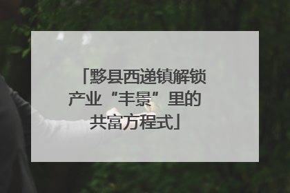 黟县西递镇解锁产业“丰景”里的共富方程式