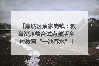 鼎城区蔡家岗镇：教育资源整合试点激活乡村教育“一池春水”
