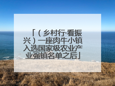 （乡村行·看振兴）一座肉牛小镇入选国家级农业产业强镇名单之后