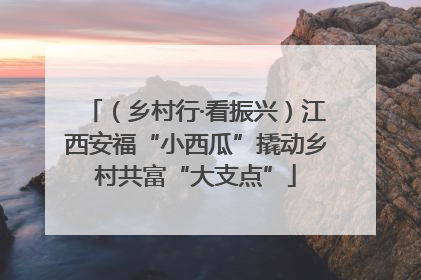 （乡村行·看振兴）江西安福“小西瓜”撬动乡村共富“大支点”