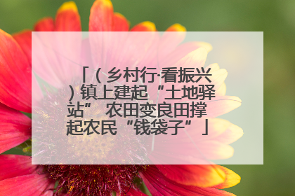 （乡村行·看振兴）镇上建起“土地驿站” 农田变良田撑起农民“钱袋子”