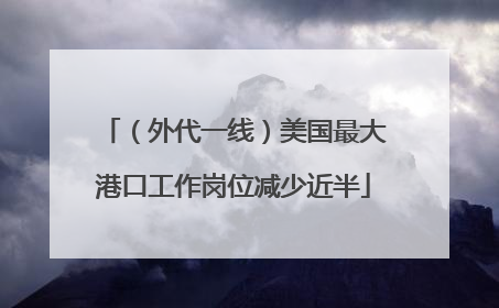 （外代一线）美国最大港口工作岗位减少近半